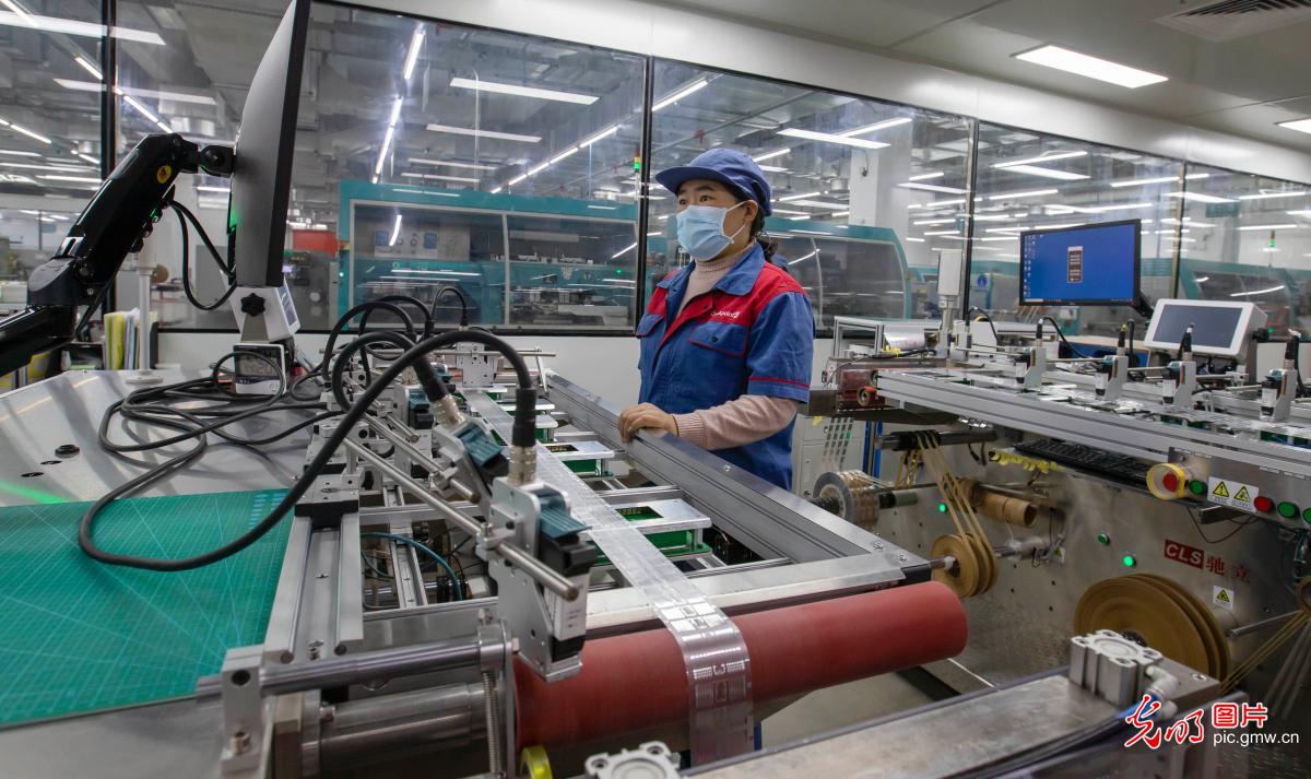 Busy scene seen in foreign trade company in E China's Jiangsu