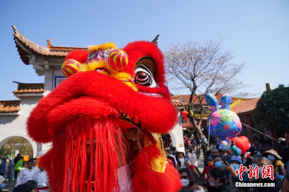 Lion dance and dragon dance performed in SW China’s Yunnan Province