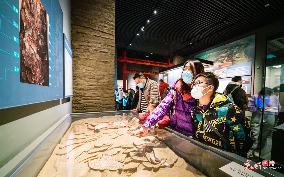 Tourists enjoy charm of history at Henan Provincial Museum