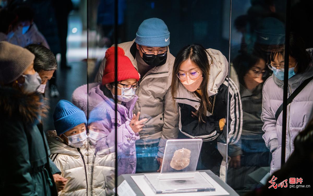 Tourists enjoy charm of history at Henan Provincial Museum