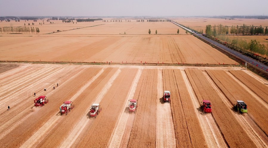 China sends fresh signals on advancing rural revitalization, building agricultural strength