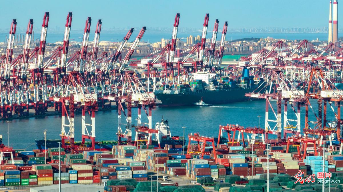 Throughput of Shandong Port hitting high numbers in January