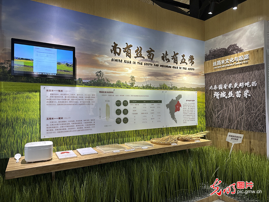 5G technology helps enhance agricultural chain in S China's Guangdong