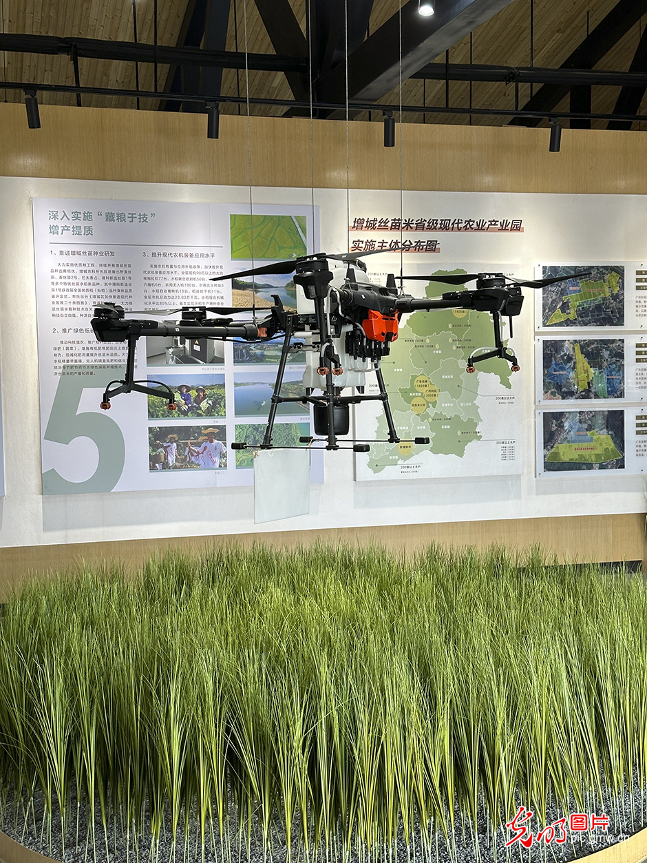 5G technology helps enhance agricultural chain in S China's Guangdong