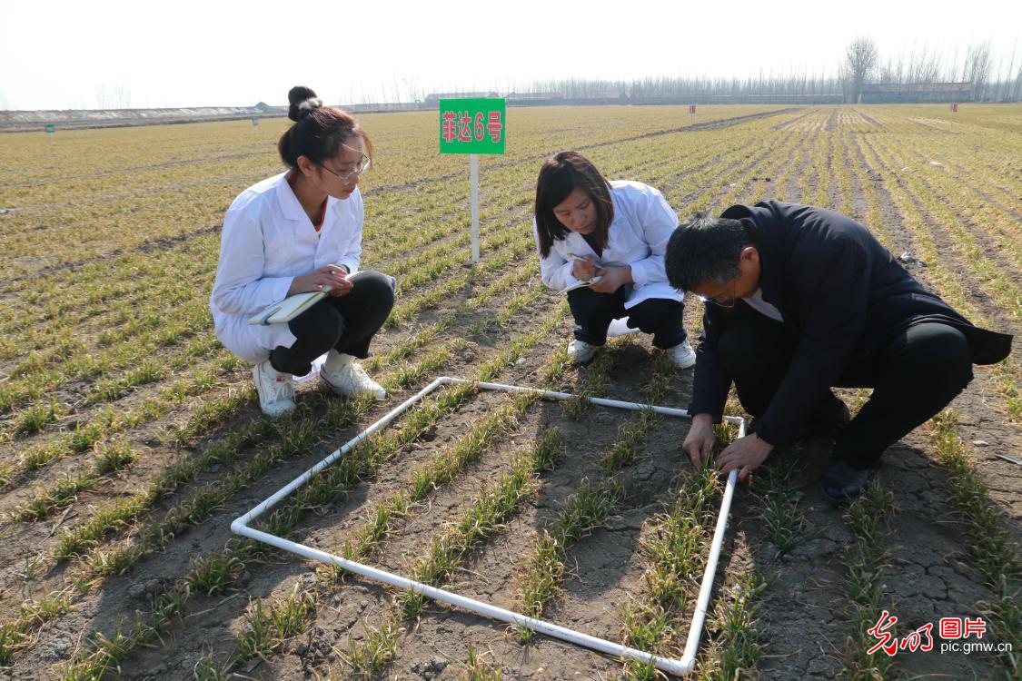 Pic story: high-tech applied to ensure spring ploughing in China