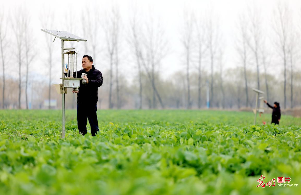 Pic story: sound measures taken to ensure spring ploughing in China