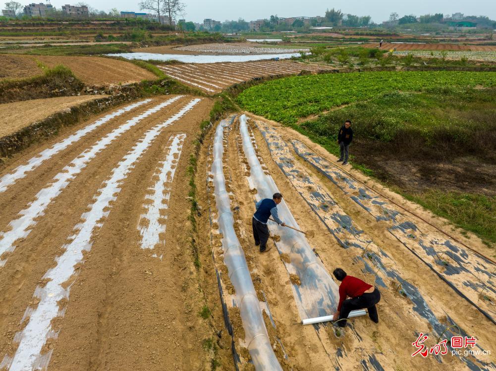 Land coloured by spring ploughing in SW China's Guangxi