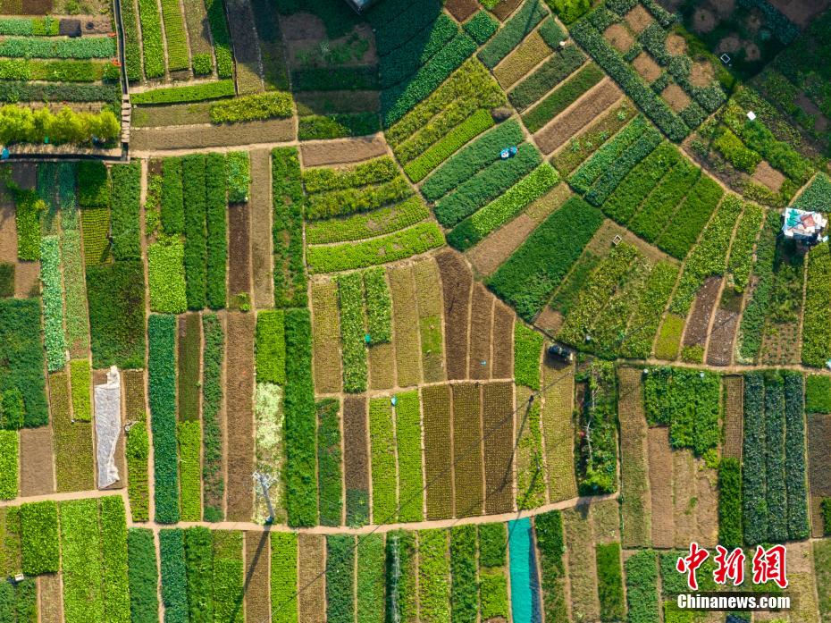 Aerial view of “Happy Farm” in S China’s Guangxi