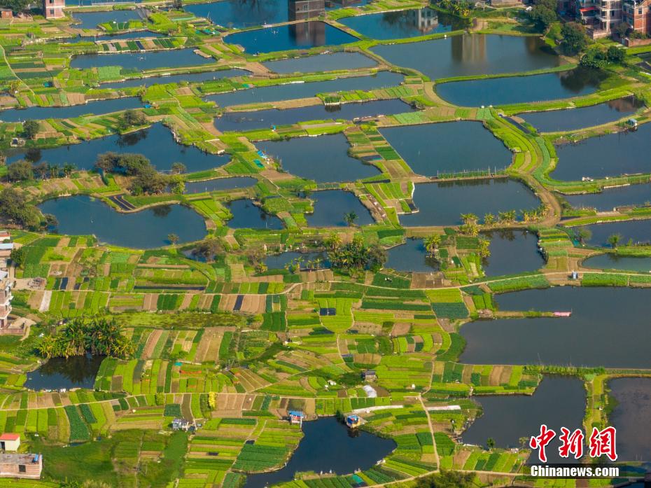 Aerial view of “Happy Farm” in S China’s Guangxi