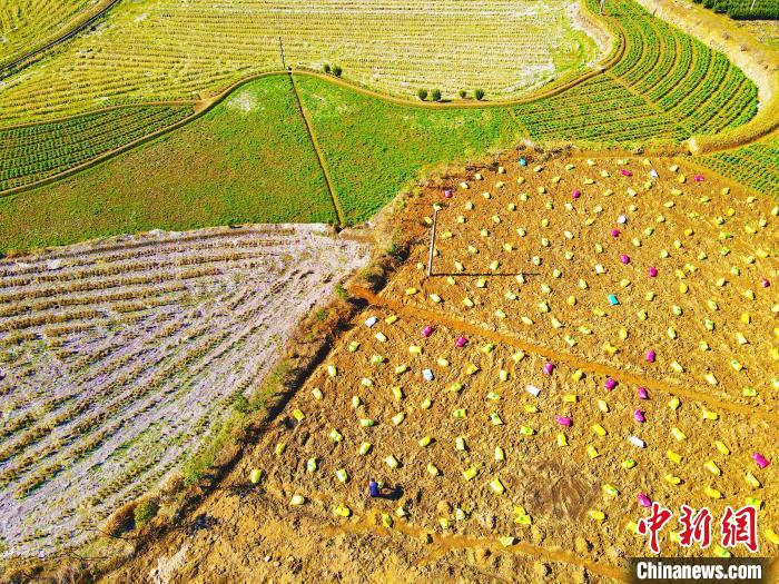 Villagers busy planting in E China’s Anhui Province