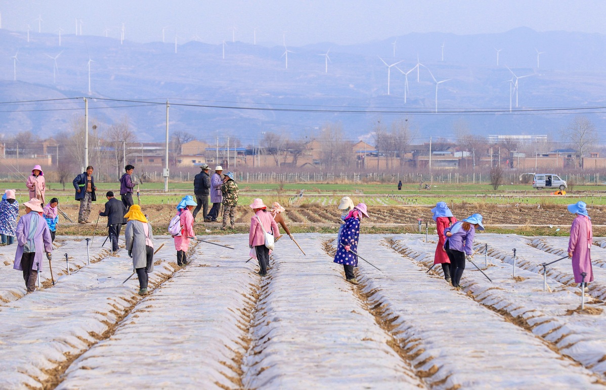 In Shanxi, spring plowing underway