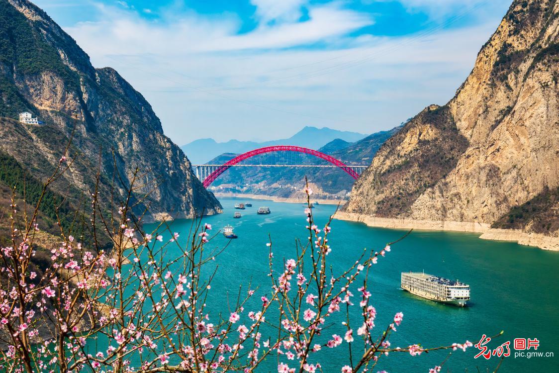 Busy spring shipping scene in Three Gorges, C China's Hubei