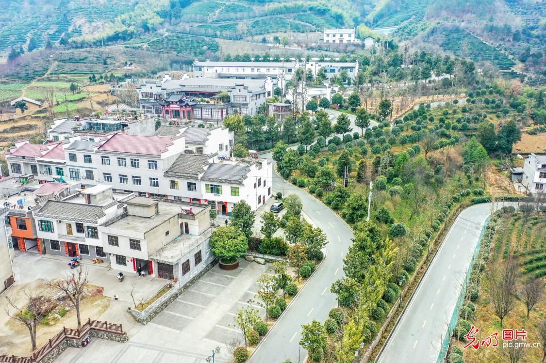 Pingli County of NW China’s Shaanxi: Ecological village green and lush