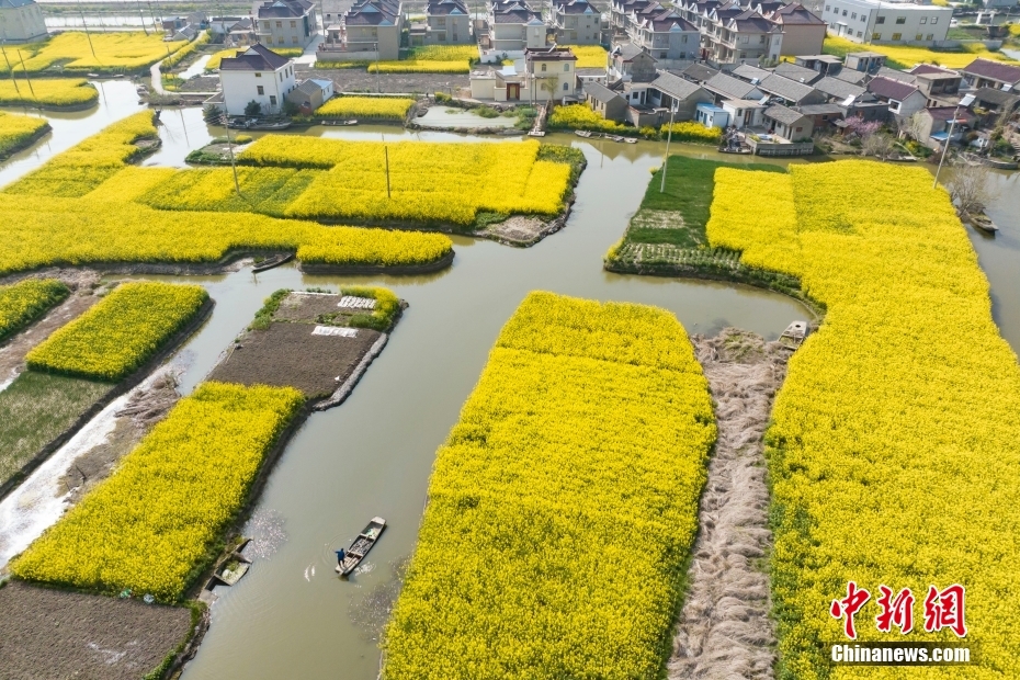 Aerial view of watertown in E China’s Jiangsu Province