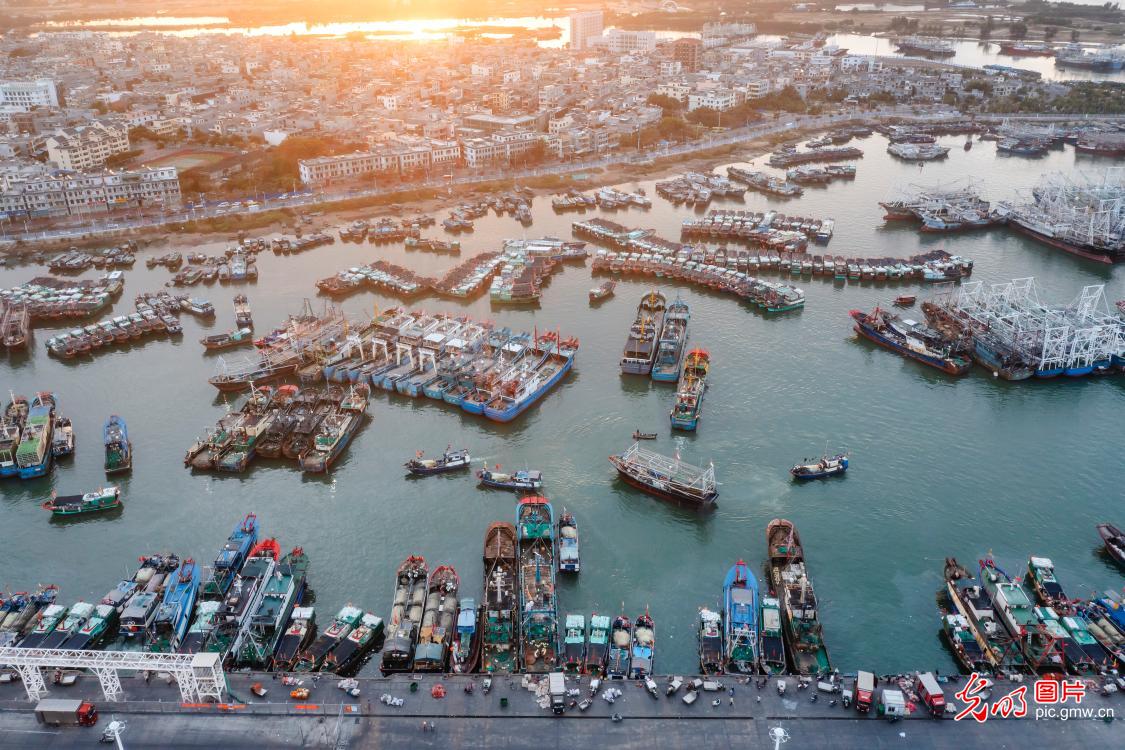 Yazhou Central Fishing Port booming in business