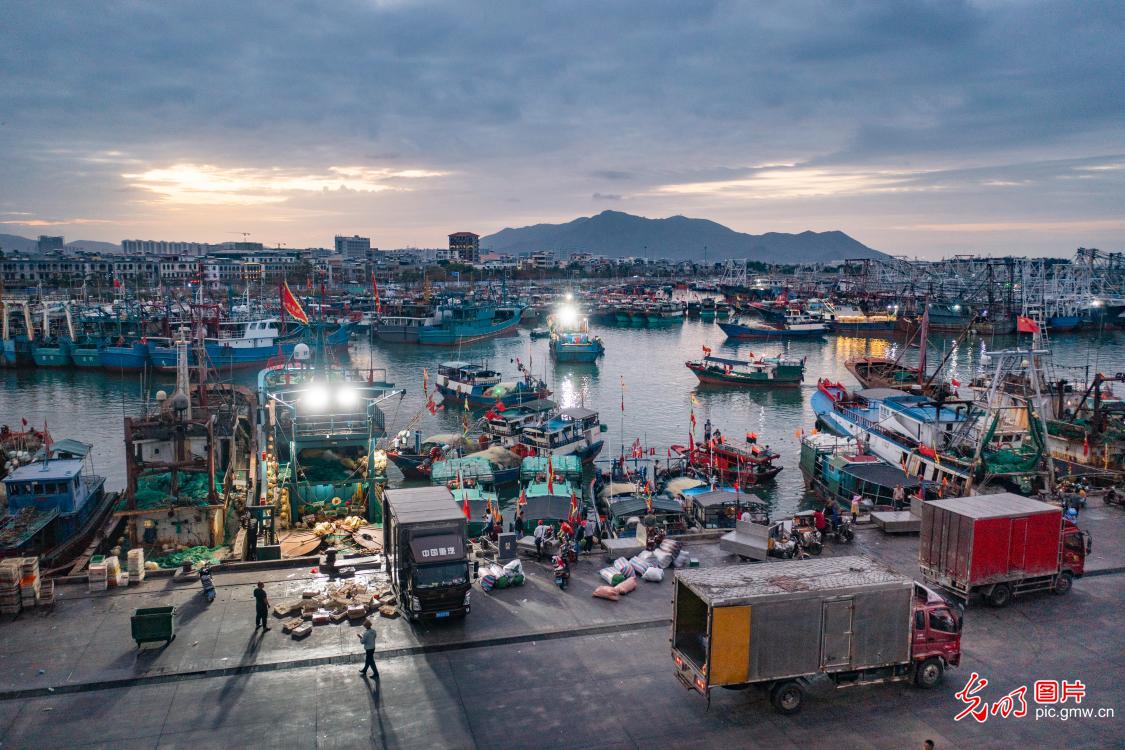 Yazhou Central Fishing Port booming in business