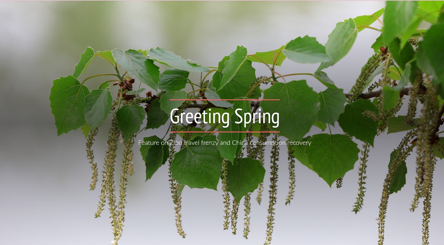 Greeting spring: Feature on Zibo travel frenzy and China consumption recovery