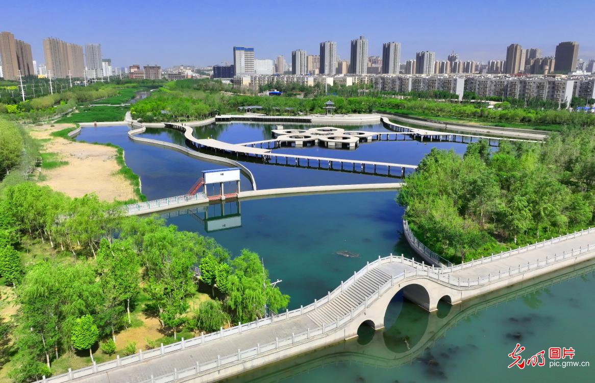 In Pics: Beautiful wetland in NW China's Xinjiang