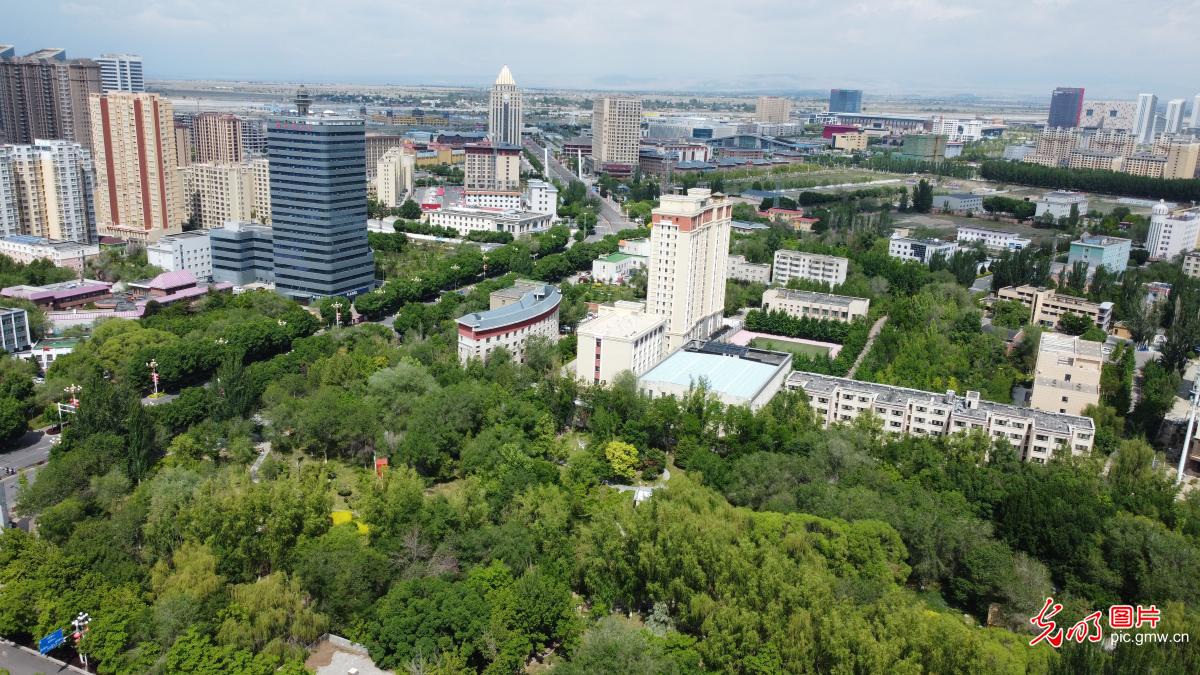 Building ecological city of Horgos in NW China's Xinjiang