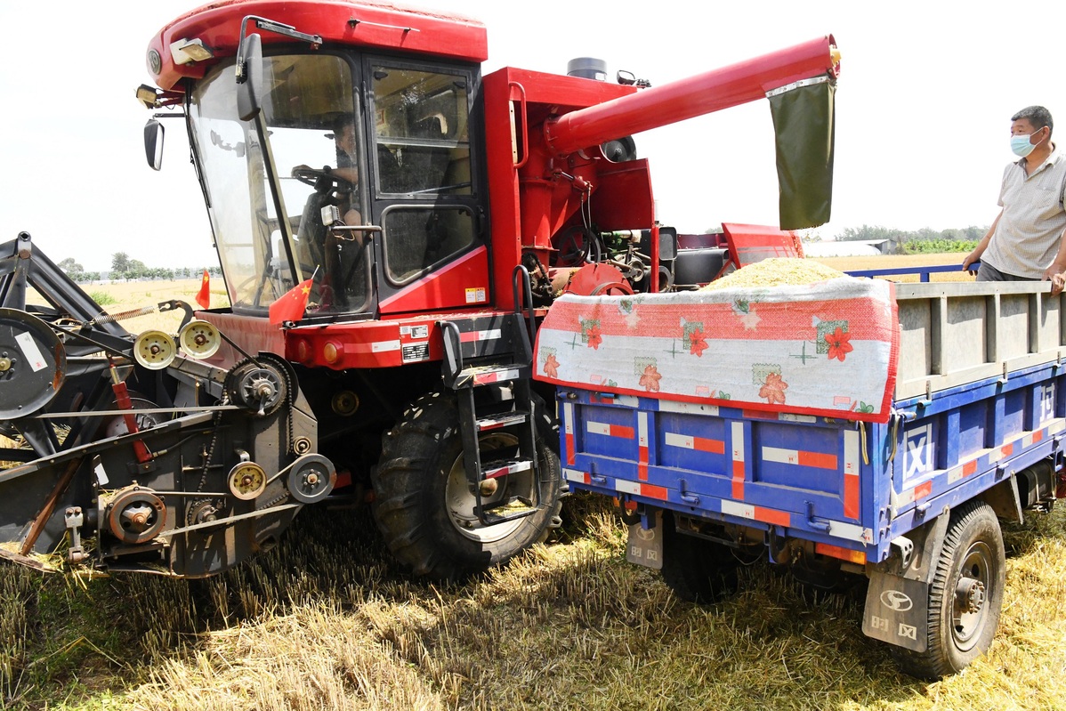 Wheat harvest underway in Hebei