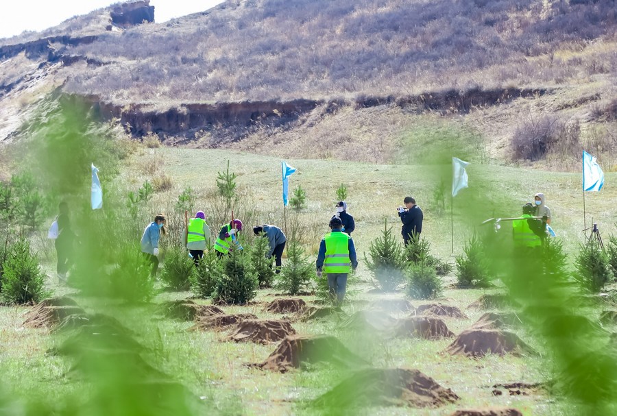 Turning deserts into forests: How China is helping the world go green