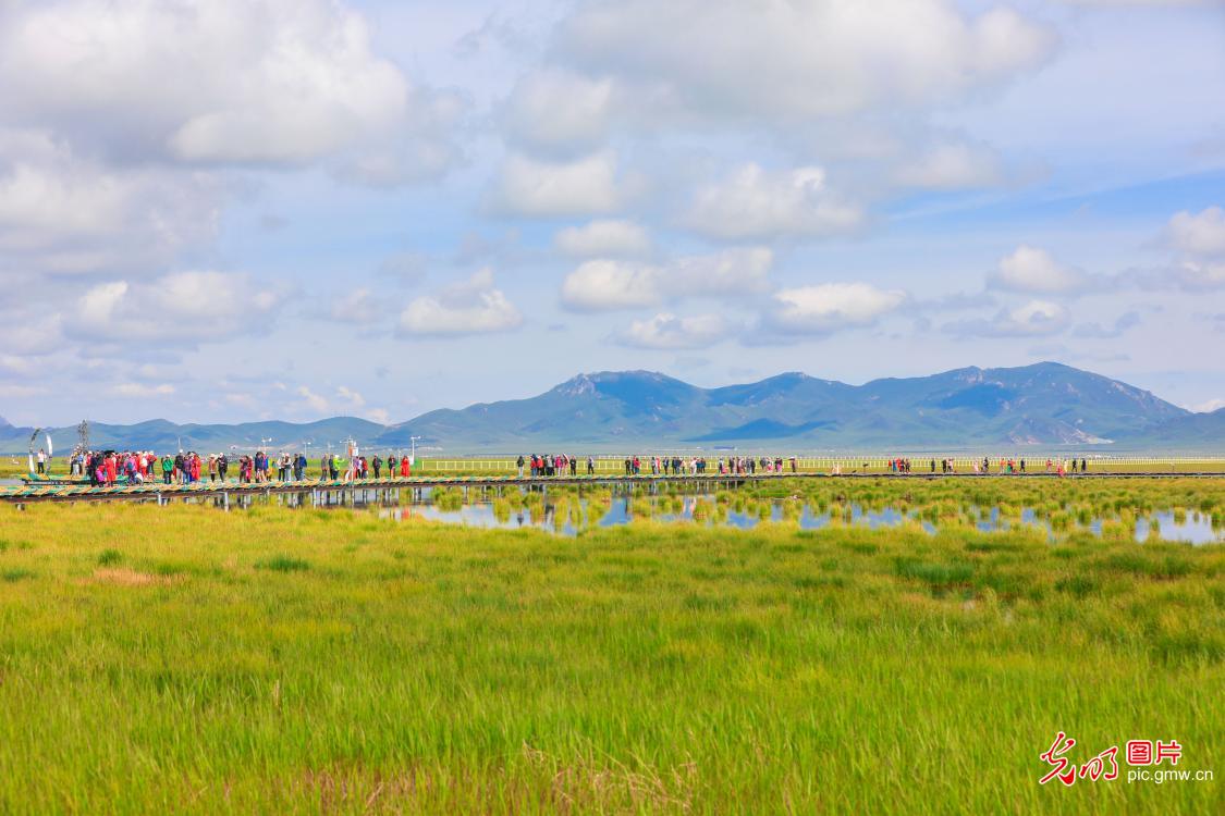 Ecological wetland attracts tourists