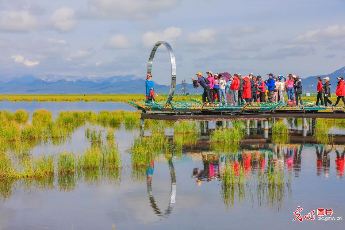 Ecological wetland attracts tourists