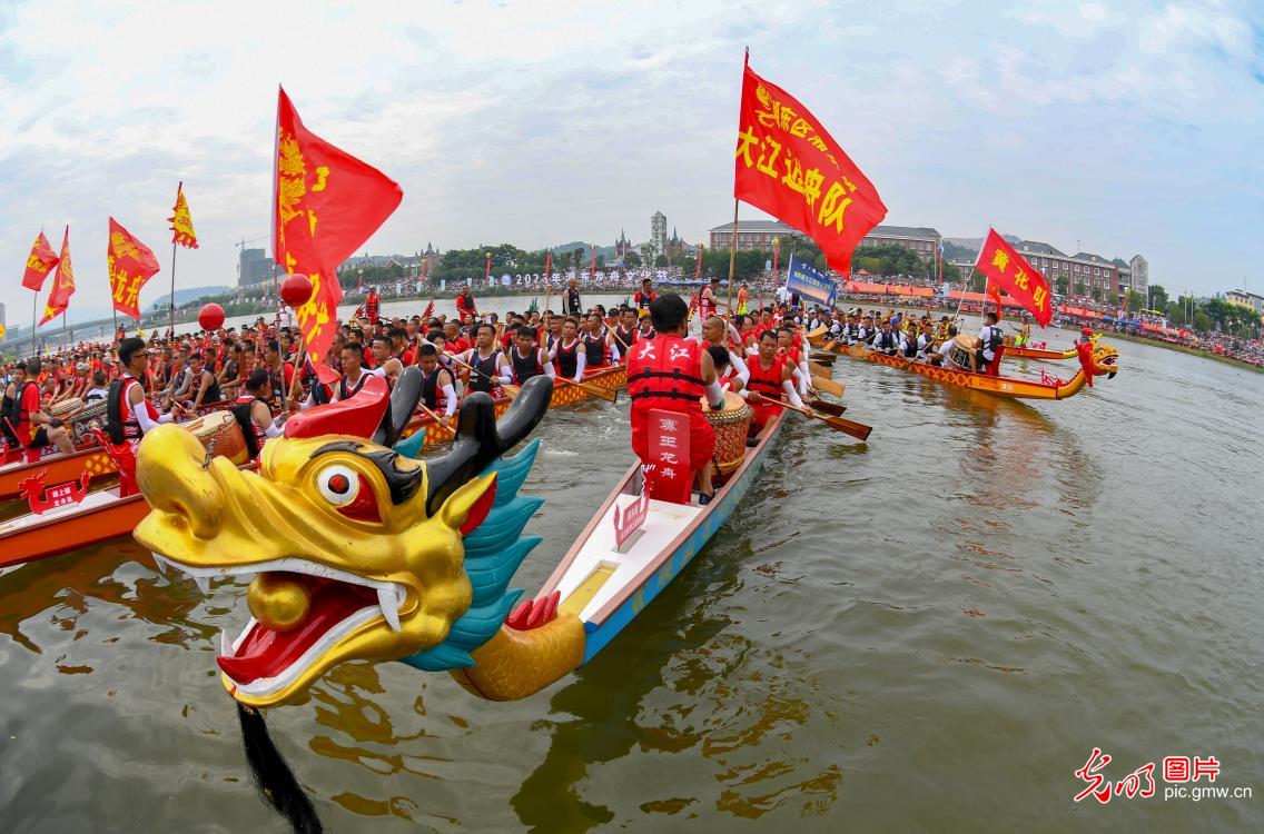 Dragon boat race attracts many viewers