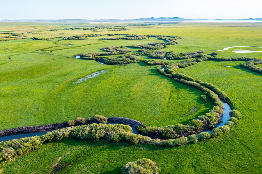 China sees improved ecological vegetation quality in 2022