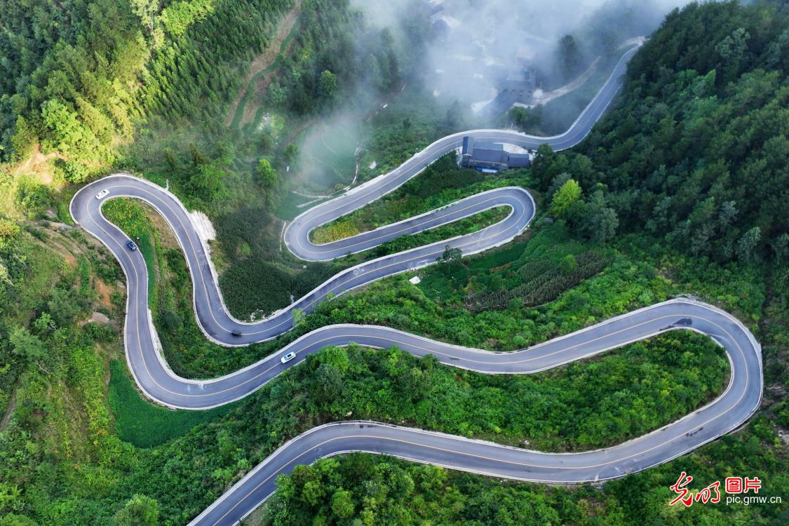 Embracing a New Landscape: The Scenic Splendor of the Winding Mountain Road