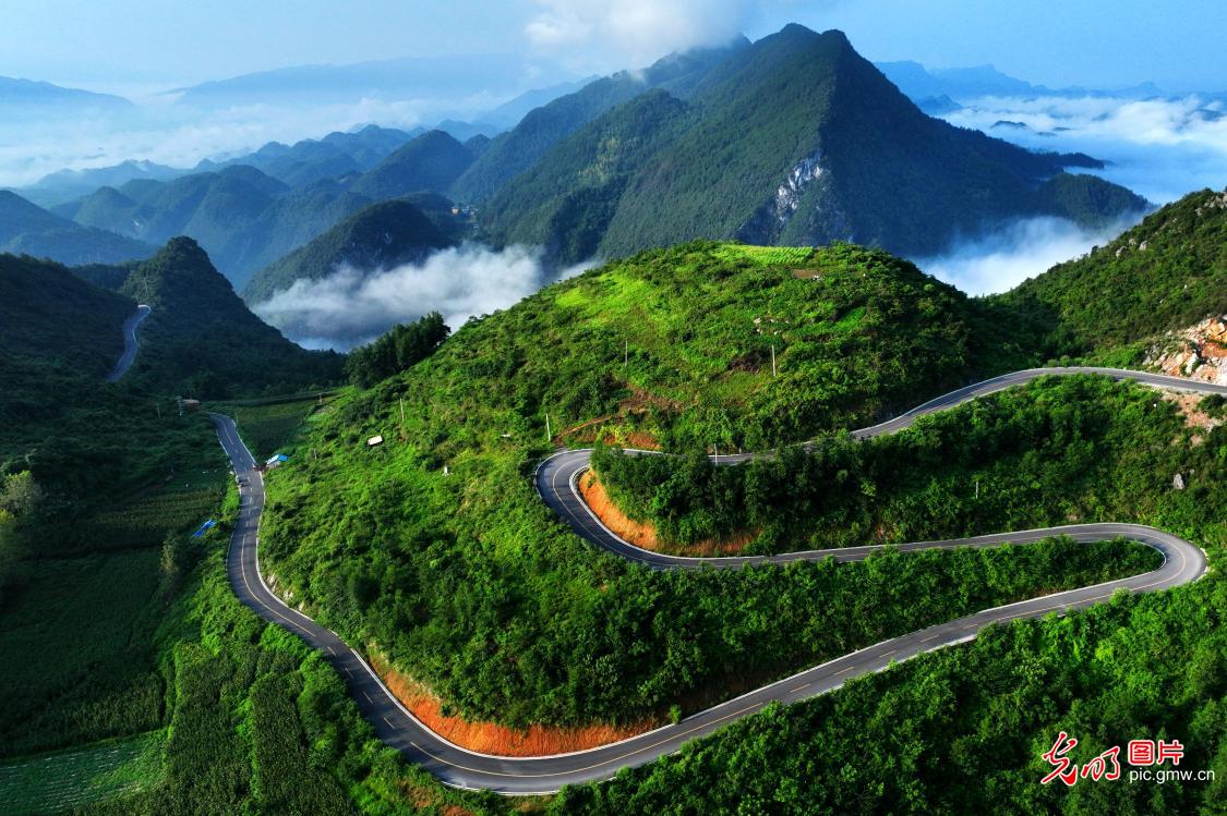 Embracing a New Landscape: The Scenic Splendor of the Winding Mountain Road