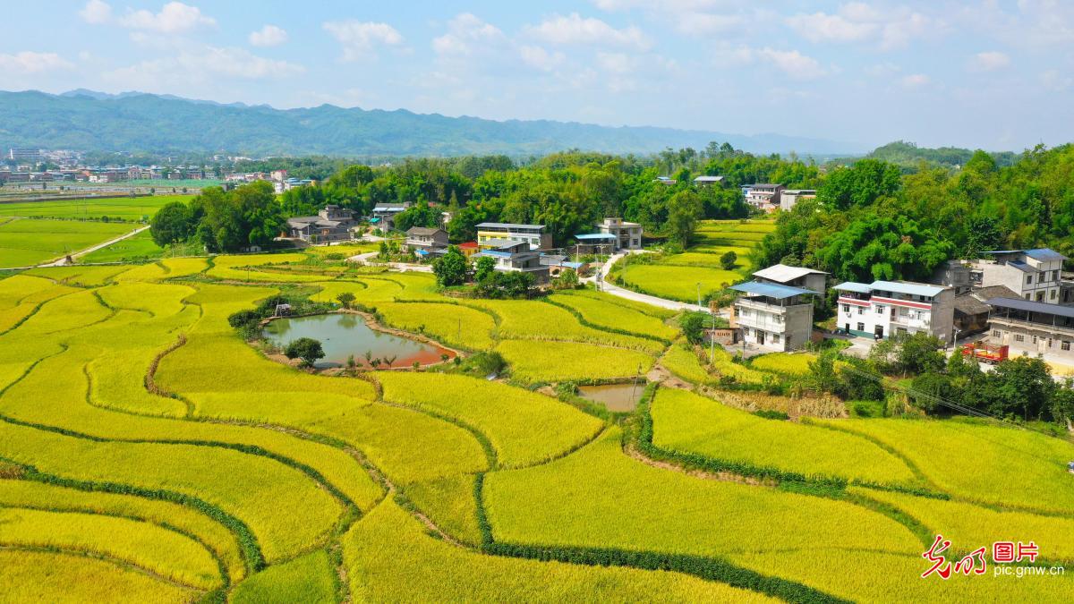 Picturesque rural scenery seen in C China's Chongqing