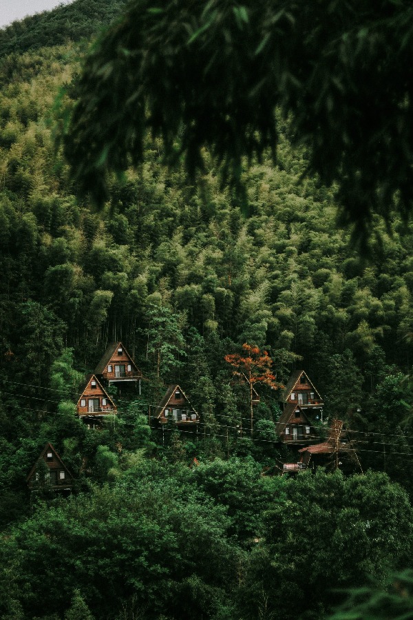 Homestay flourishes in Longshang village, Zhejiang Province