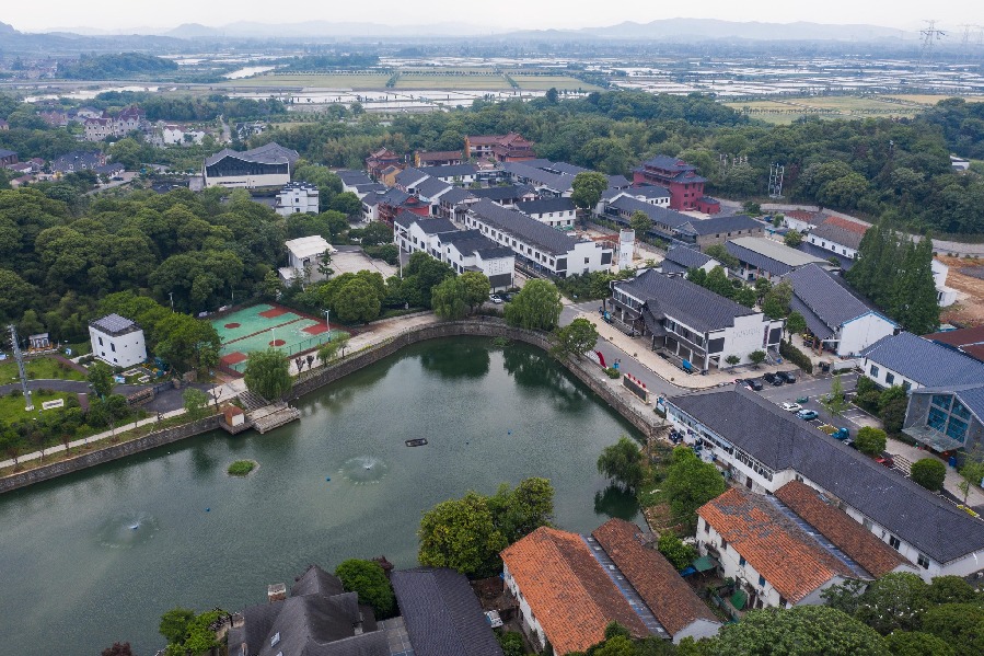 Egrets seen in Dongheng village after significant ecological improvement
