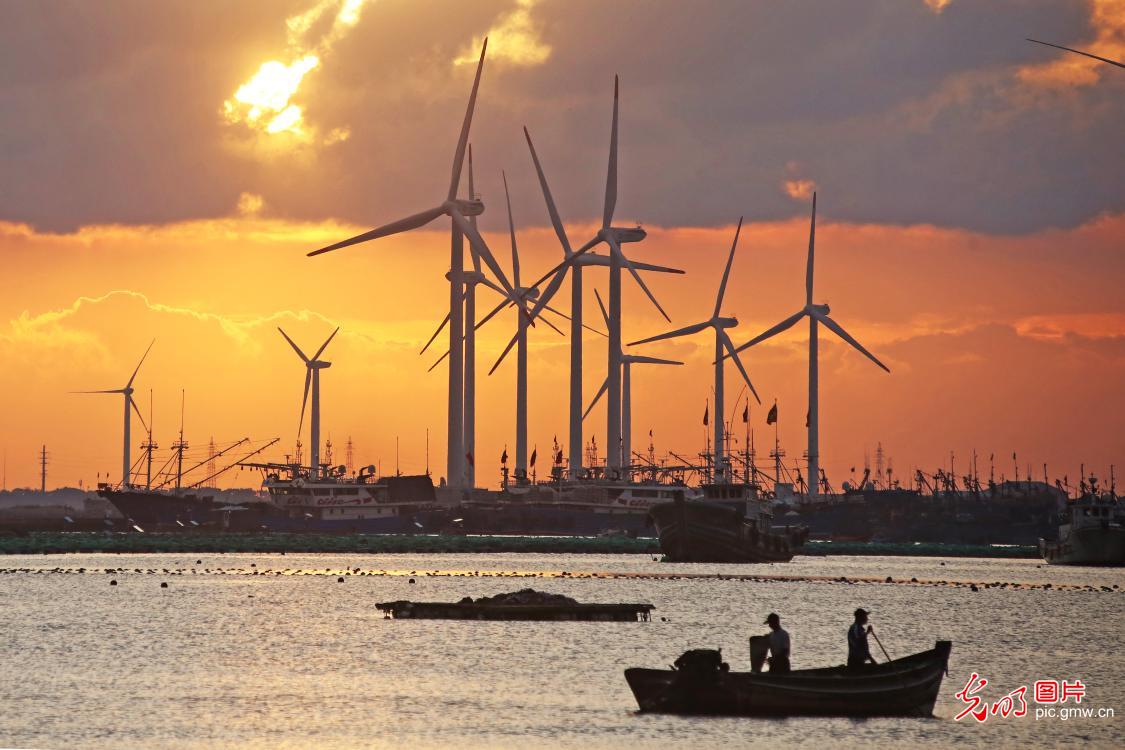 Coastal wind power invigorate marine aquaculture