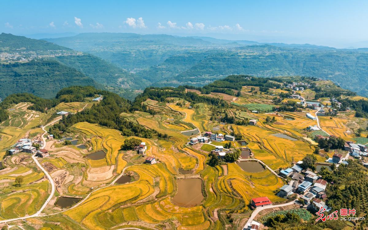 In Pics: Mountain rice field in SW China's Chongqing