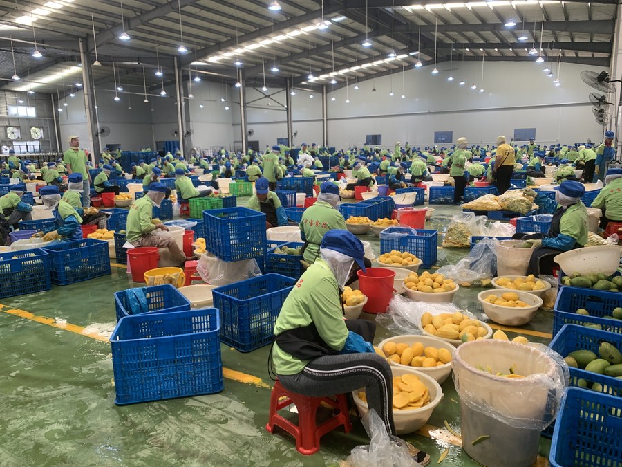 Cambodia's export to RCEP countries up 16 pct in first 4 months of 2023