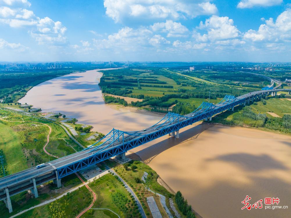 Picture of ecological harmony by the Yellow River in E China's Shandong