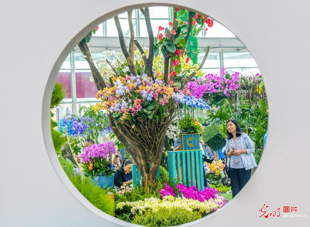 10th Shuyang Flower and Tree Festival kicks off