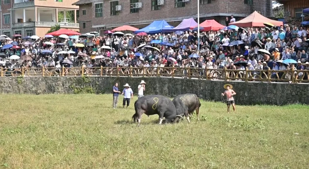 Sui ethnic group celebrate Duan Festival in Guizhou