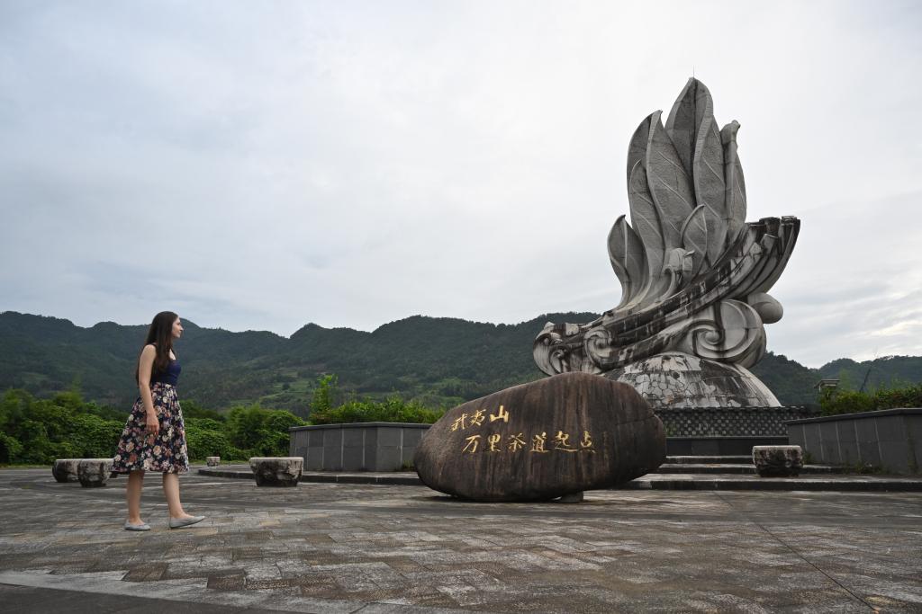Centuries-old tea road regains glory as Belt and Road cooperation deepens