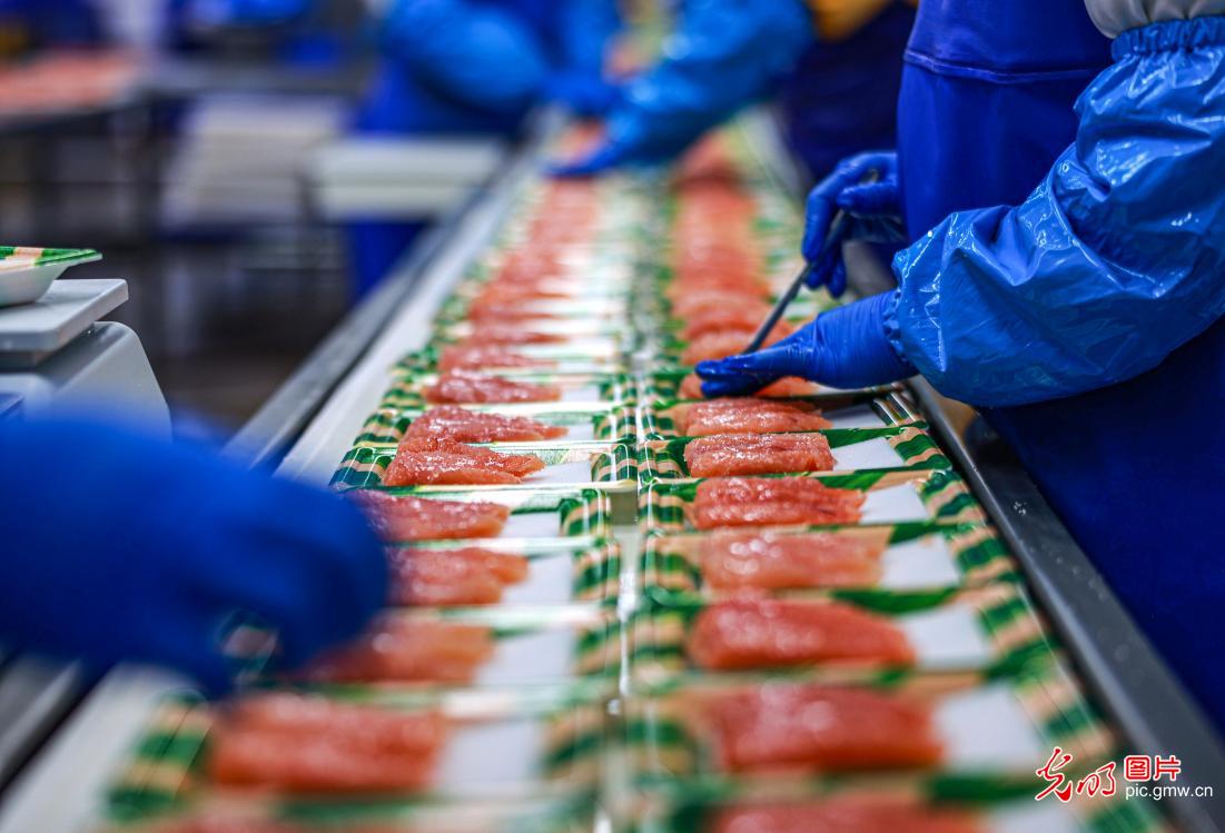 Marine food processing business thrives local employment in E China's Shandong