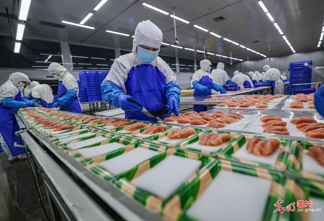 Marine food processing business thrives local employment in E China's Shandong