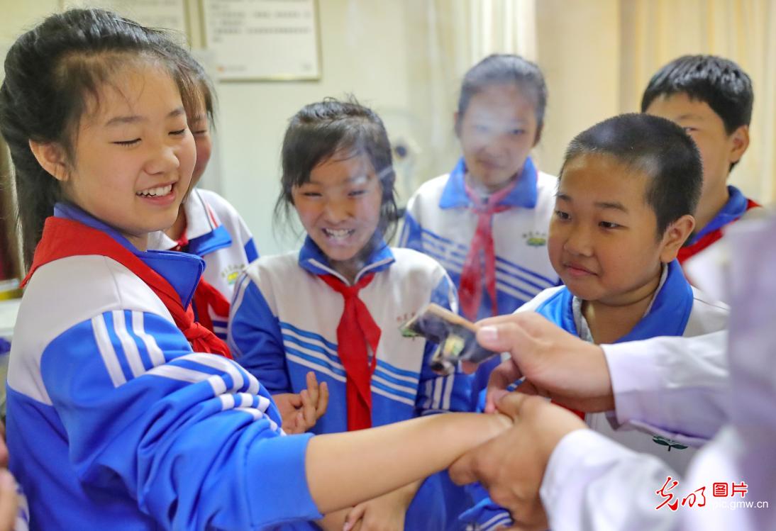 Learn Chinese Medicine to Welcome World Traditional Medicine Day in N China's Hebei