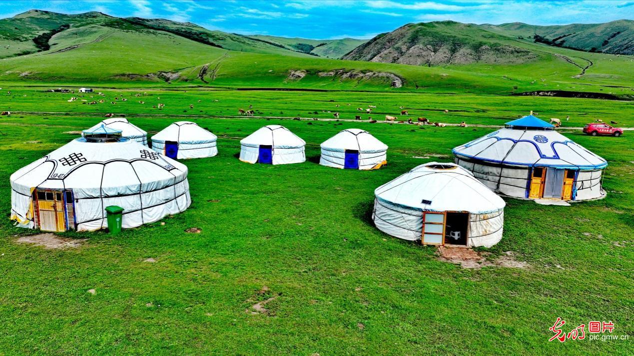 【农遗之珍】阿鲁科尔沁草原游牧系统：人与自然和谐共生的田园诗篇