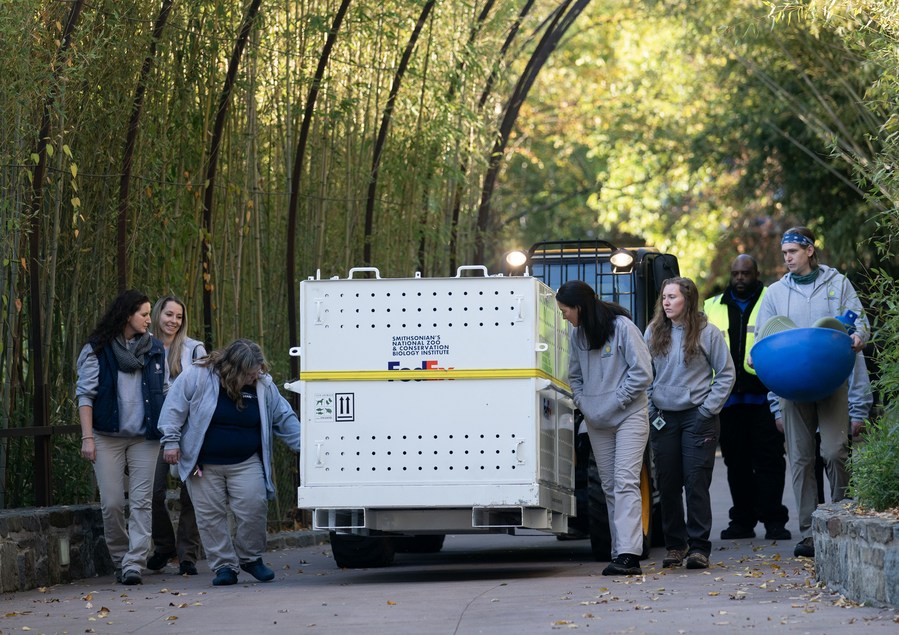 Feature: Decades of loving care culminate in emotional goodbye for Washington zoo pandas