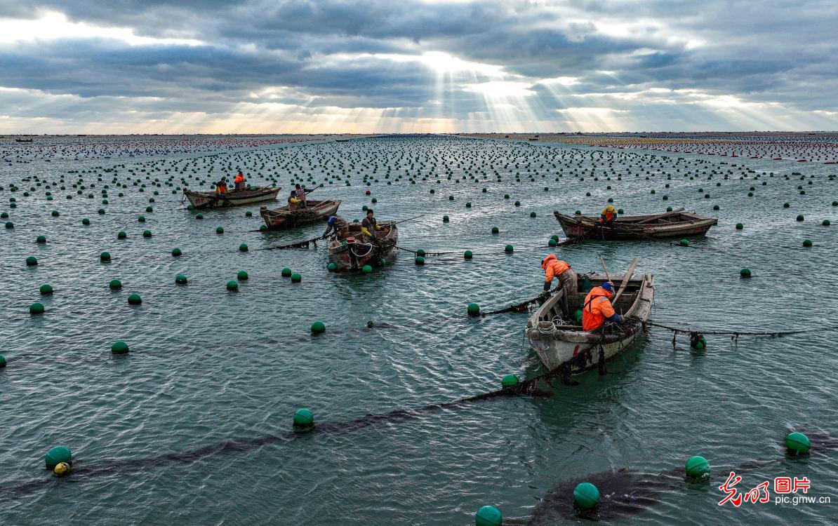 Rongcheng City of E China’s Shandong: winter fishing and farming scene