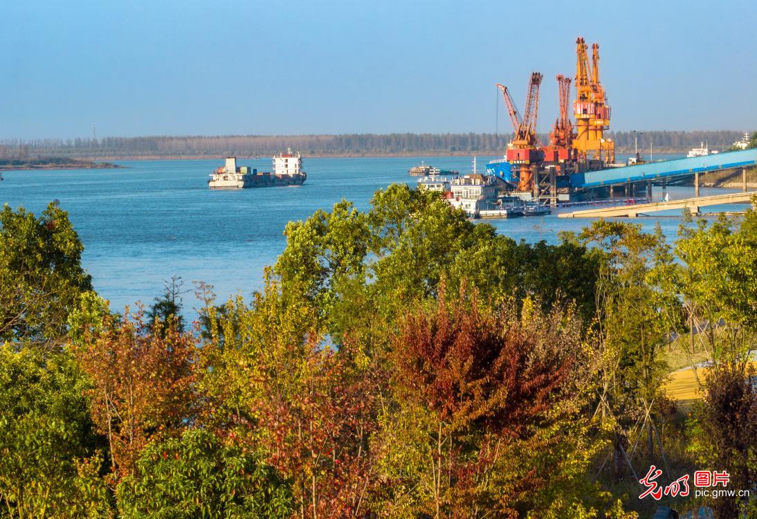 Wuhu City of E China’s Anhui: Yangtze River busy with shipping