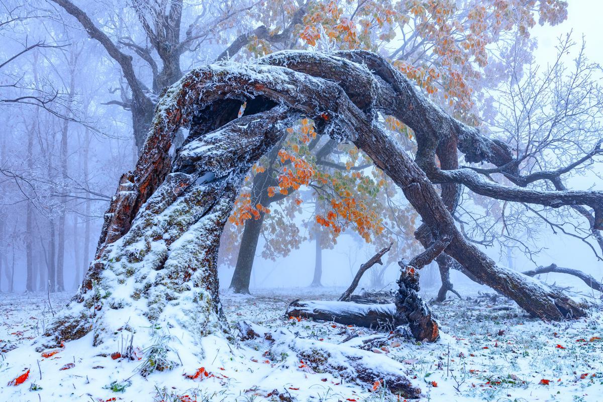 Tourists capture fresh winter snapshots in Jilin