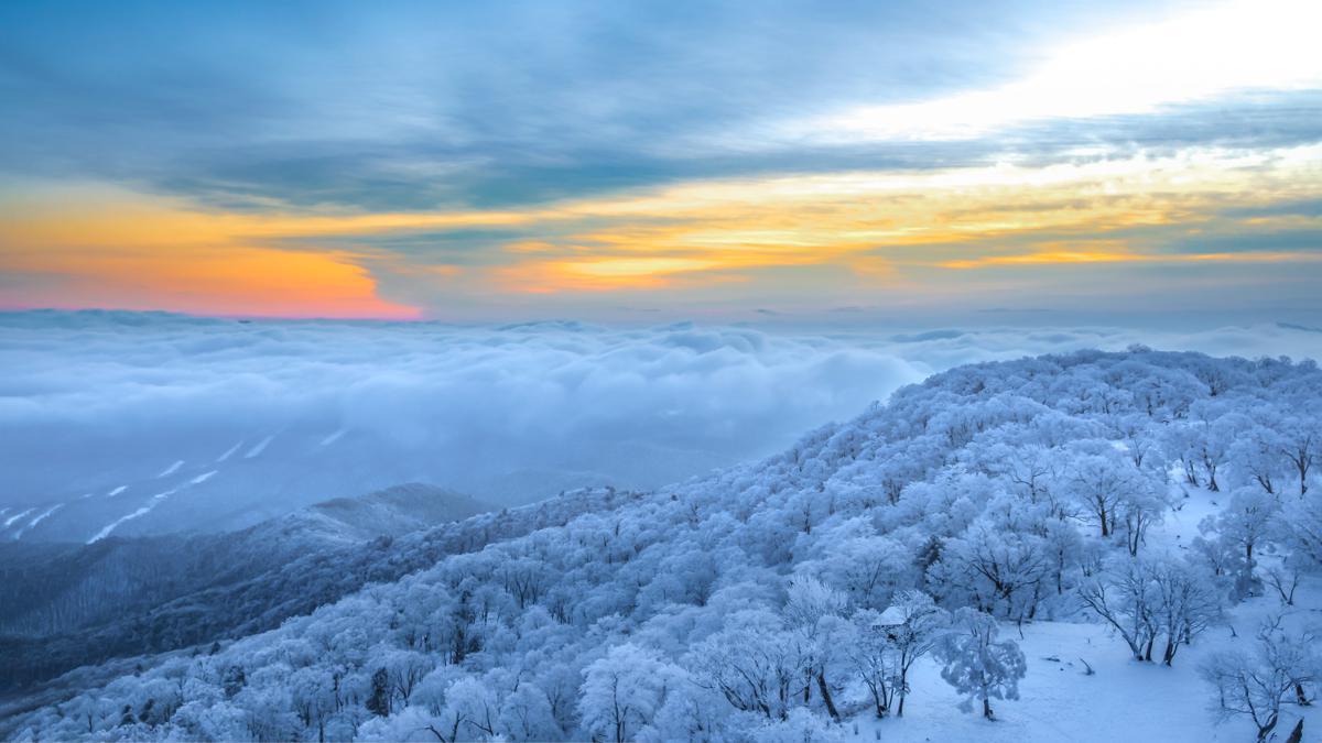 Tourists capture fresh winter snapshots in Jilin